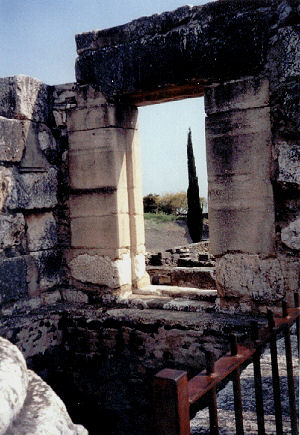 Capharnaum